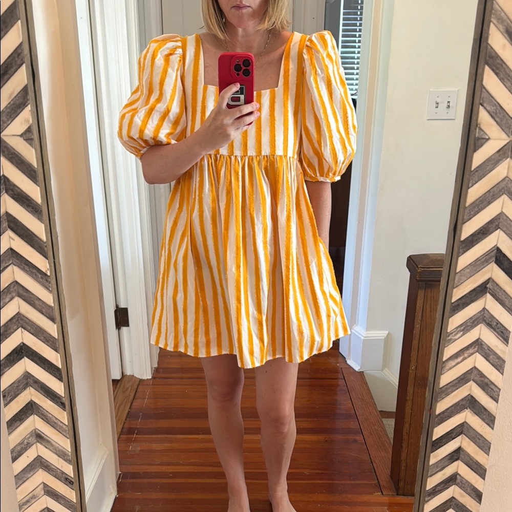 Mr. Larkin Mini Dress